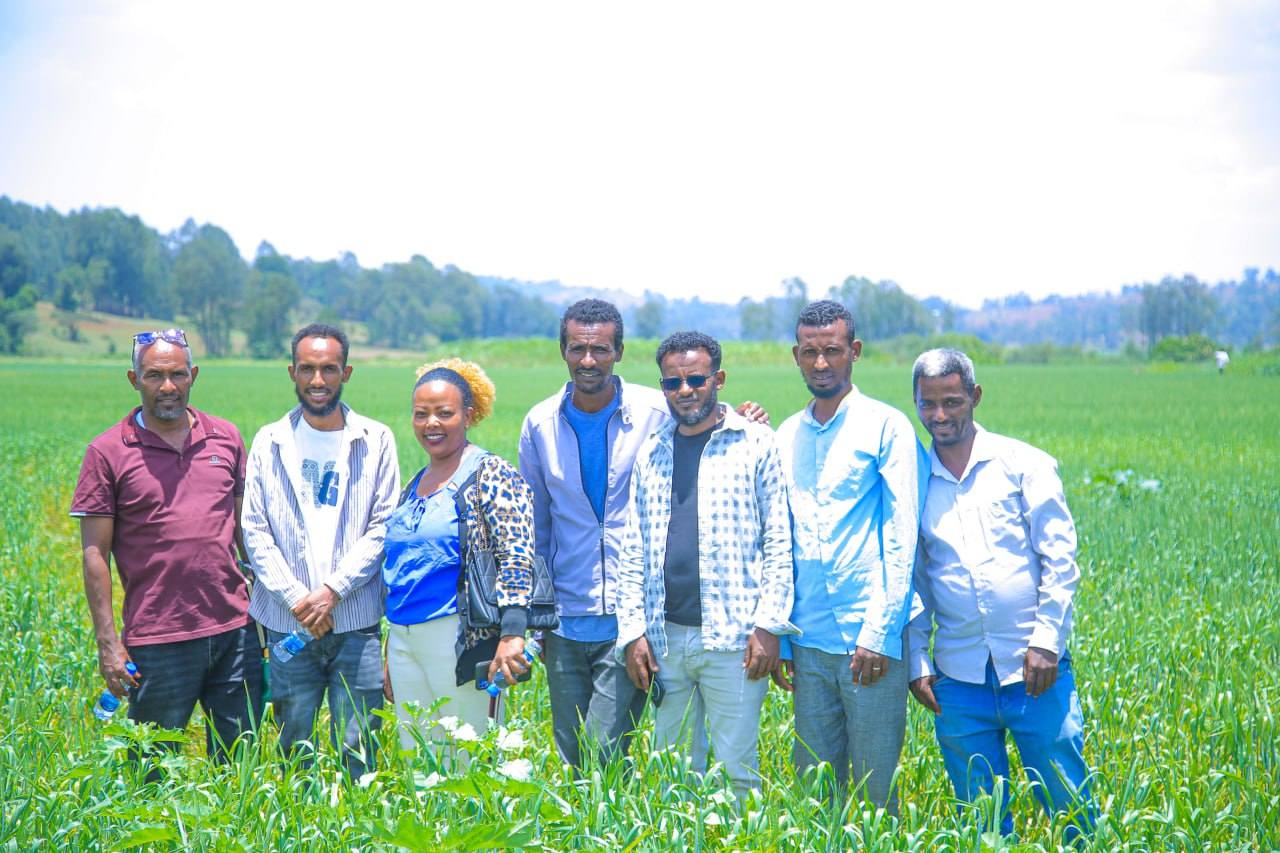  Daawwannaan guyyaan dirree Qamadii Bonaa Gaggeeffame.